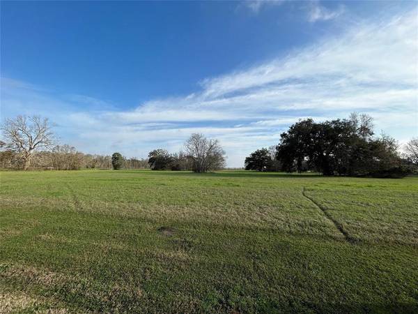 101 Cattle Drive TRL, Angleton, TX 77515