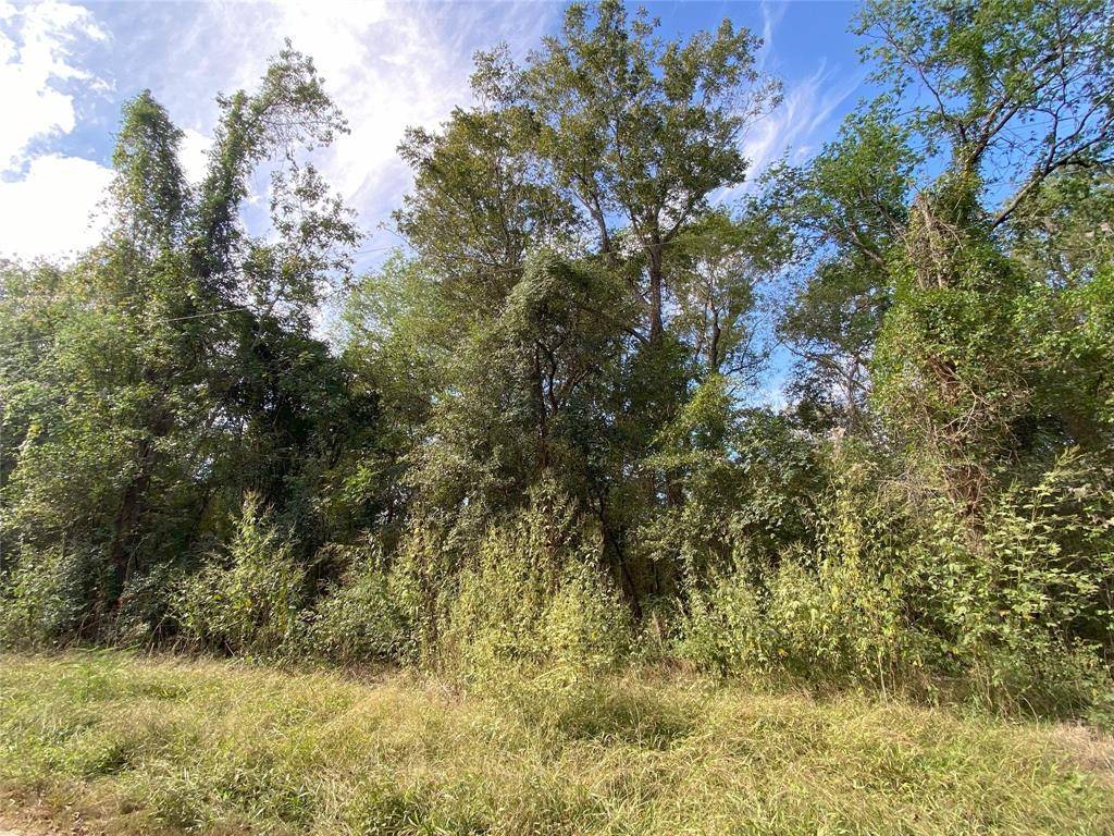 Cleveland, TX 77327,TBD County Road 2859