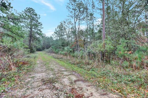 TBD County Road 351, Plantersville, TX 77363