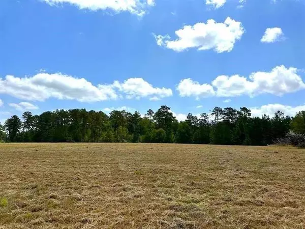 Hillister, TX 77624,TBD Lakeland Loop Lot 84