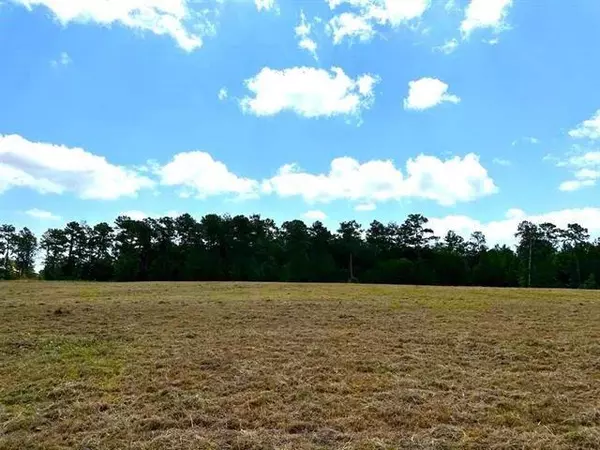 Hillister, TX 77624,TBD Lakeland Loop Lot 84