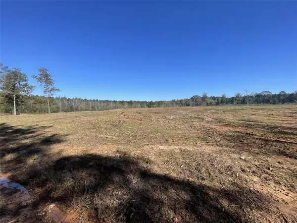 TBD County Road 4505, Tenaha, TX 75974