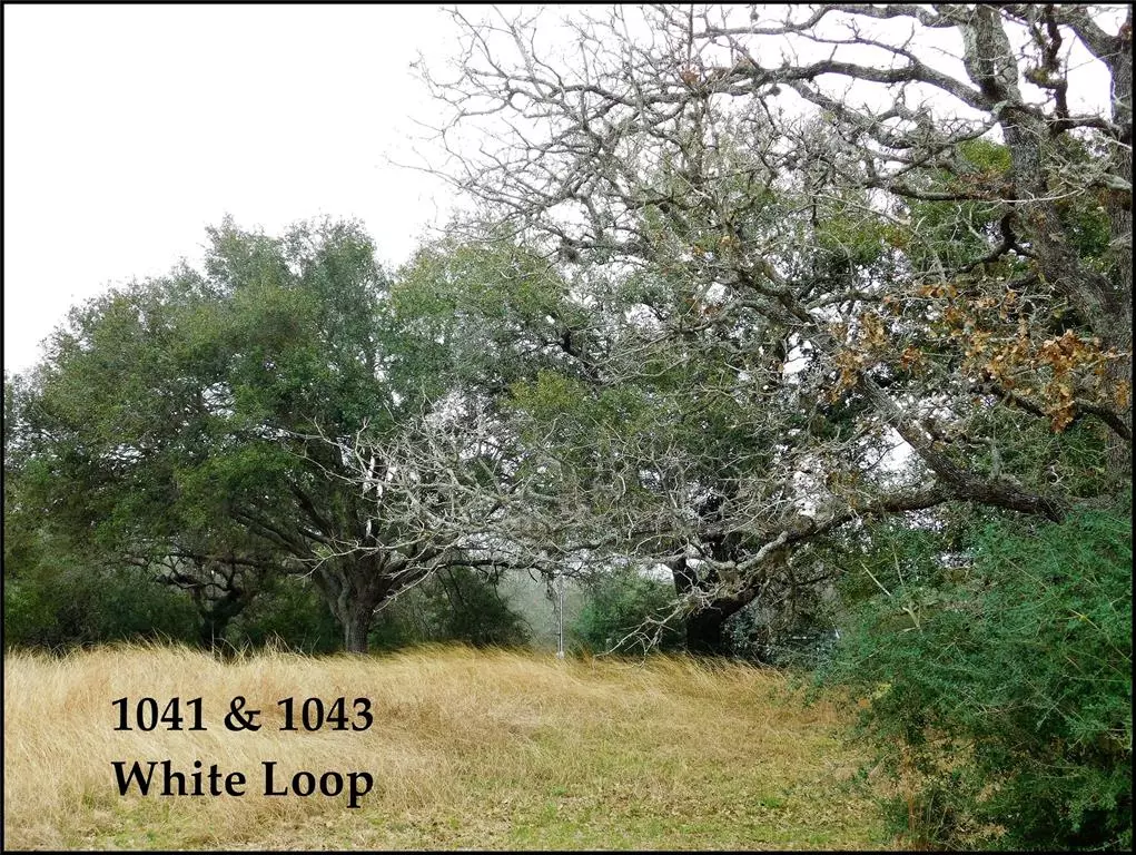 Columbus, TX 78934,1041 and 1043 White Loop RD