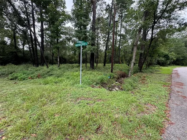 Onalaska, TX 77360,LOT 375 Seminole CIR