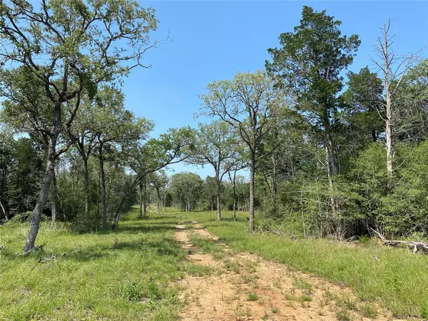 Smithville, TX 78957,TBD High Crossing Road - Tract 7