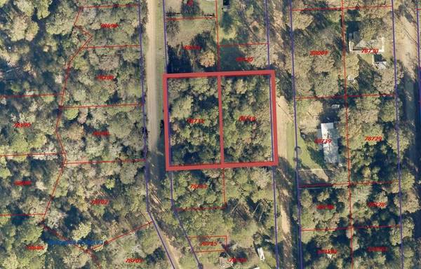 Shepherd, TX 77371,LOT 8 Dogwood LN