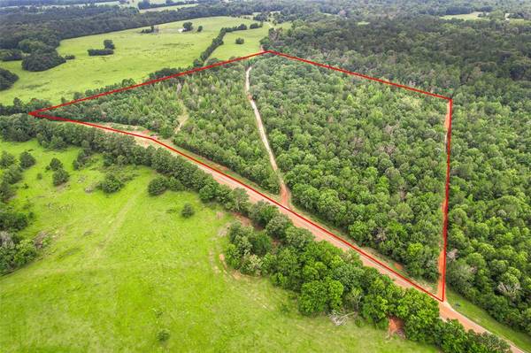 Grapeland, TX 75844,0000 FM 2544 Tract 2