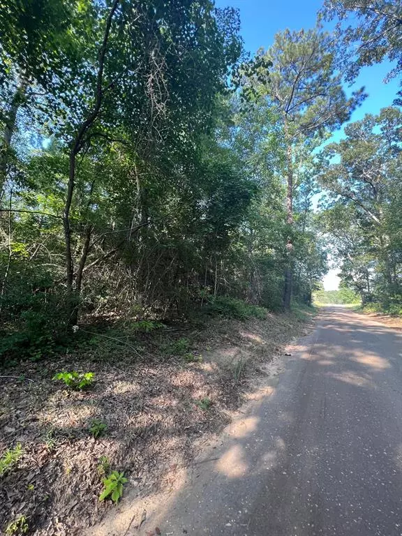 Jasper, TX 75951,TBD 10 ac County Road 87