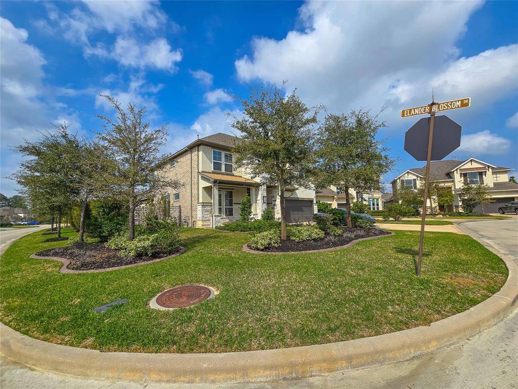 The Woodlands, TX 77375,12 Sweet Mint CT