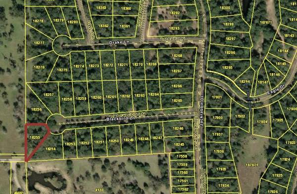 BLK 1 LOT 11 Blackbird, Hempstead, TX 77445