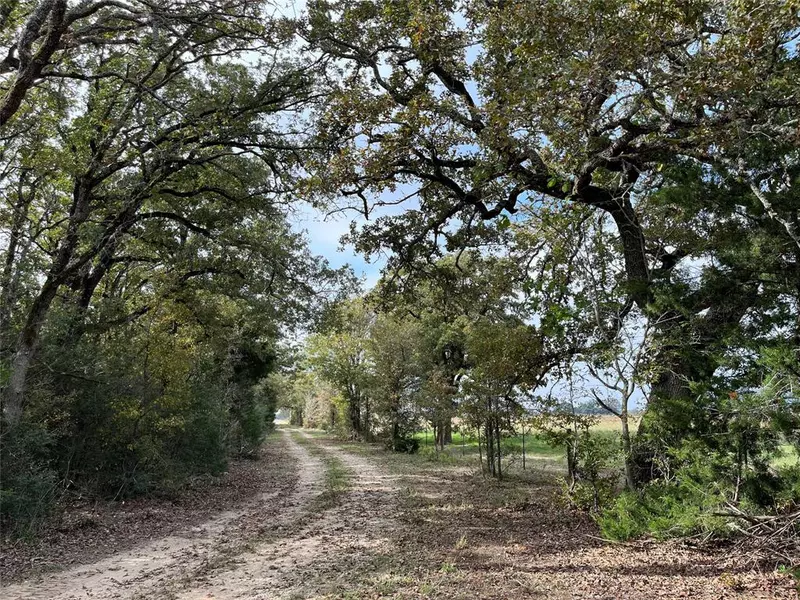 4311 County Road 127, Ledbetter, TX 78946