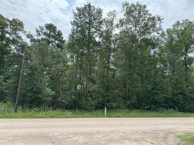 LOT 1, 2, 3 Alta Vista DR, Livingston, TX 77351