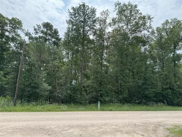 LOT 1,  2,  3 Alta Vista DR,  Livingston,  TX 77351