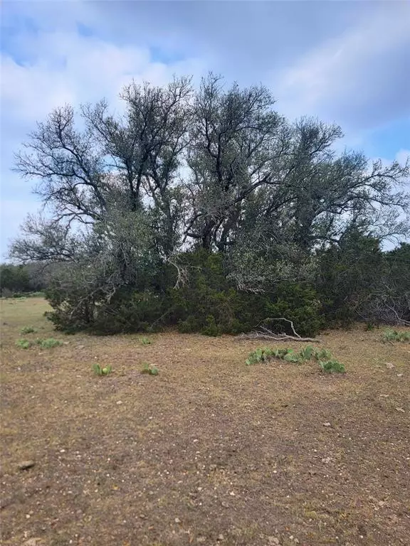 Menard, TX 76859,Lot 65 Brandon Ranch