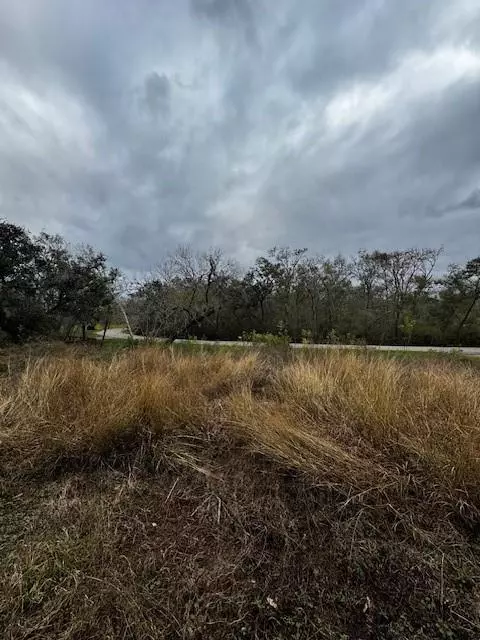 Lake Jackson, TX 77566,244 Rabbit TRL