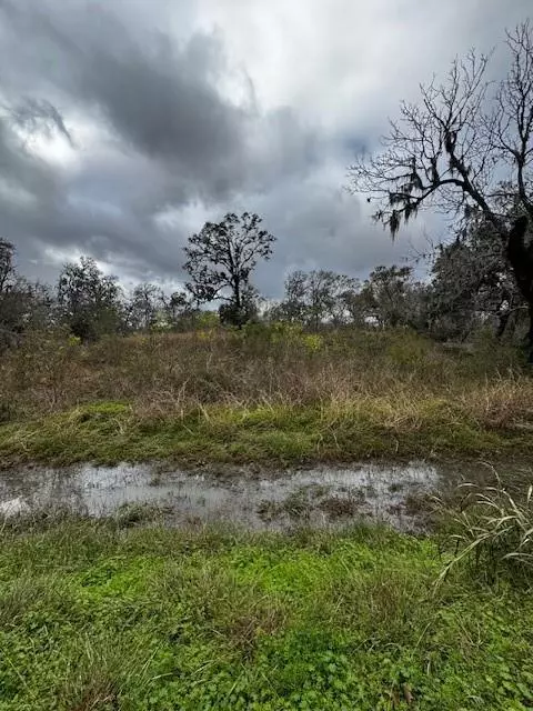 Lake Jackson, TX 77566,244 Rabbit TRL