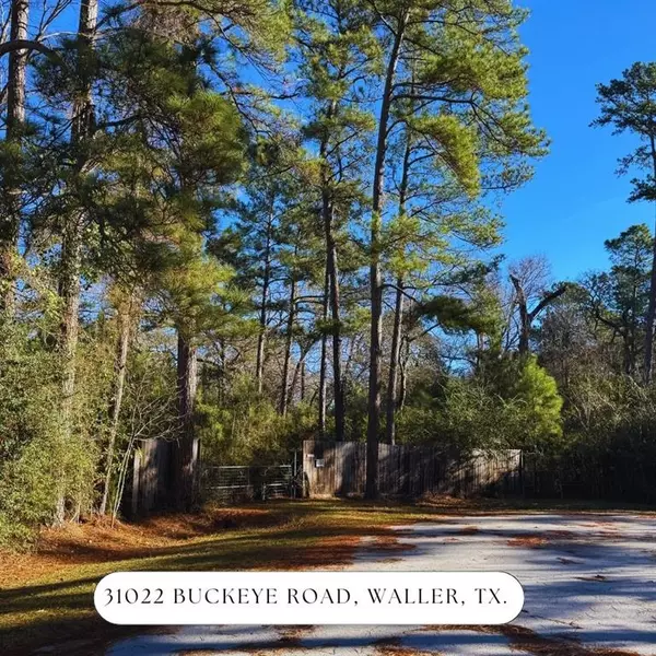 31022 Buckeye RD, Waller, TX 77484