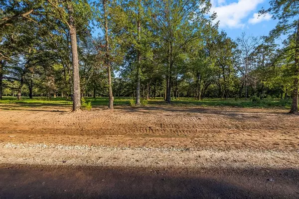 New Waverly, TX 77358,Lot 15 Alans Memorial Lane