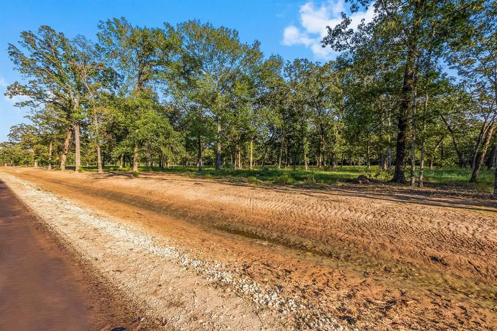 New Waverly, TX 77358,Lot 15 Alans Memorial Lane