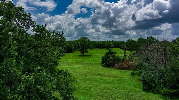 Ledbetter, TX 78946,000 Greens Creek Road - Tract 3