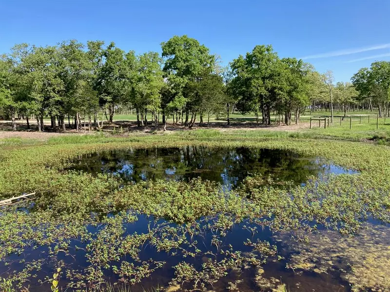 6950 Waldeck Cemetery Road, Round Top, TX 78954