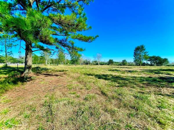 Rosharon, TX 77583,4402 County Road 78