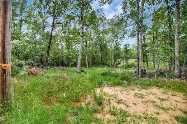 Livingston, TX 77351,Lot 217 Ramblewood