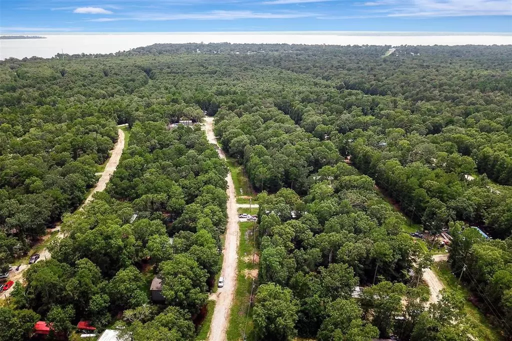 Livingston, TX 77351,Lot 217 Ramblewood