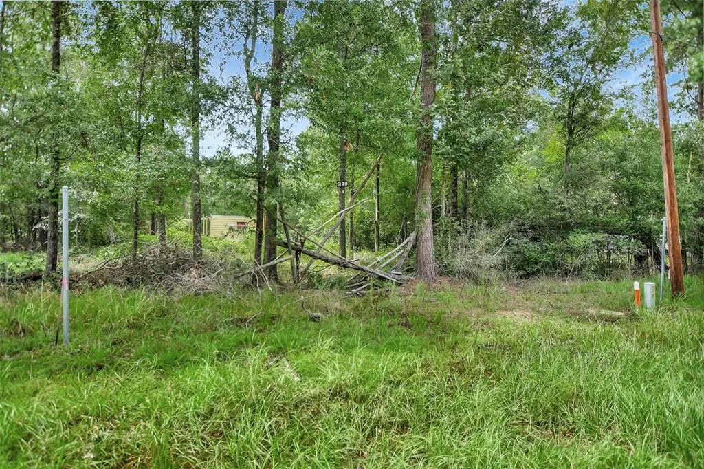 Livingston, TX 77351,Lot 217 Ramblewood