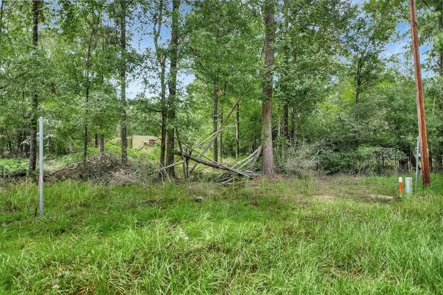 Lot 217 Ramblewood, Livingston, TX 77351