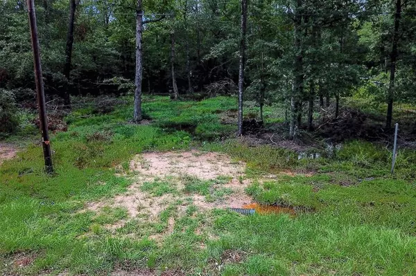 Livingston, TX 77351,Lot 217 Ramblewood