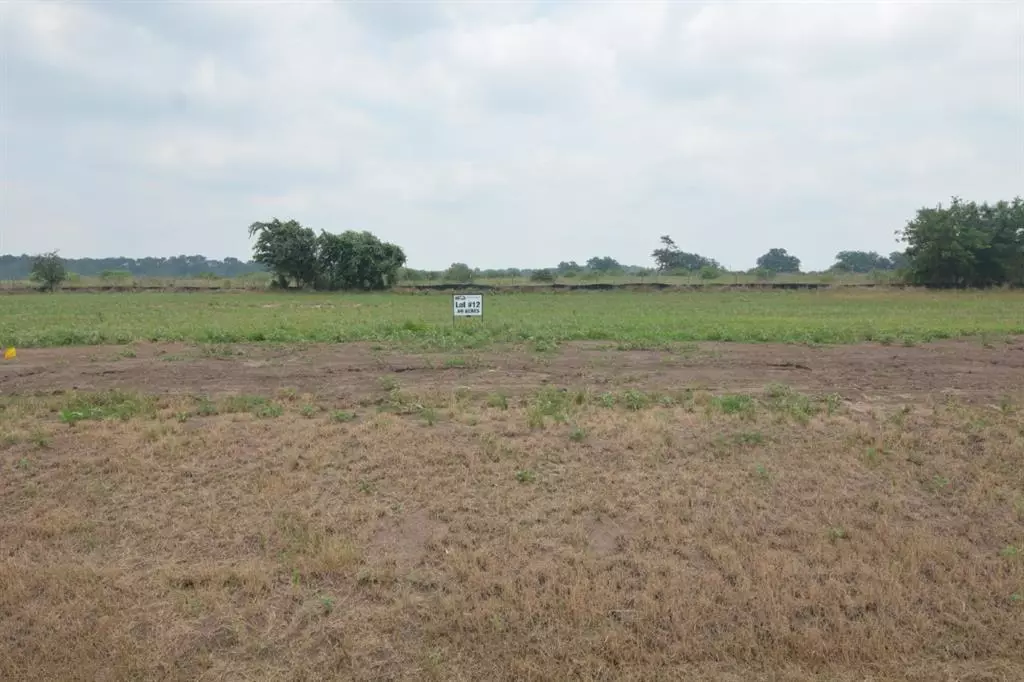 Smithville, TX 78957,Lot 12 Hydrangea DR