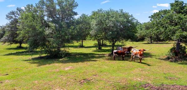 Weimar, TX 78962,TBD Big Buck RD