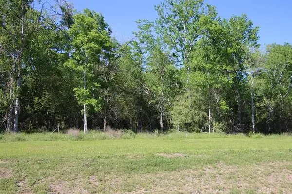 Washington, TX 77880,0 Wooded Reserve CT