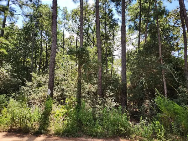 Plantersville, TX 77363,Lot 6 Smokethorn LN