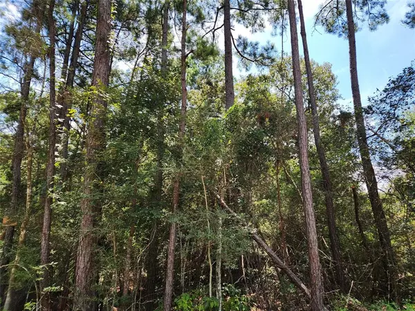 Plantersville, TX 77363,Lot 6 Smokethorn LN