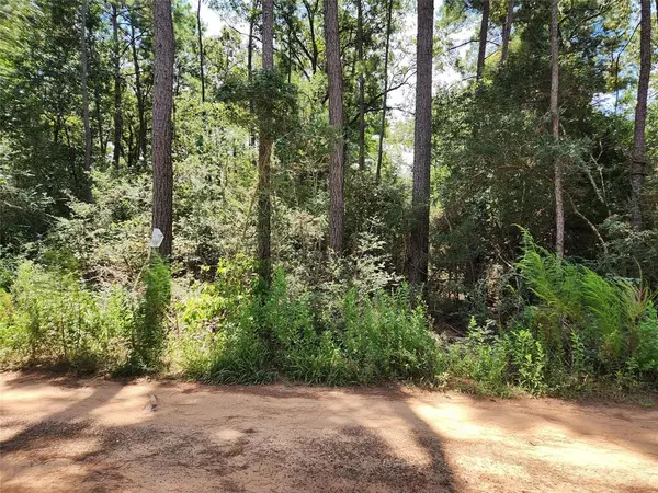 Plantersville, TX 77363,Lot 6 Smokethorn LN