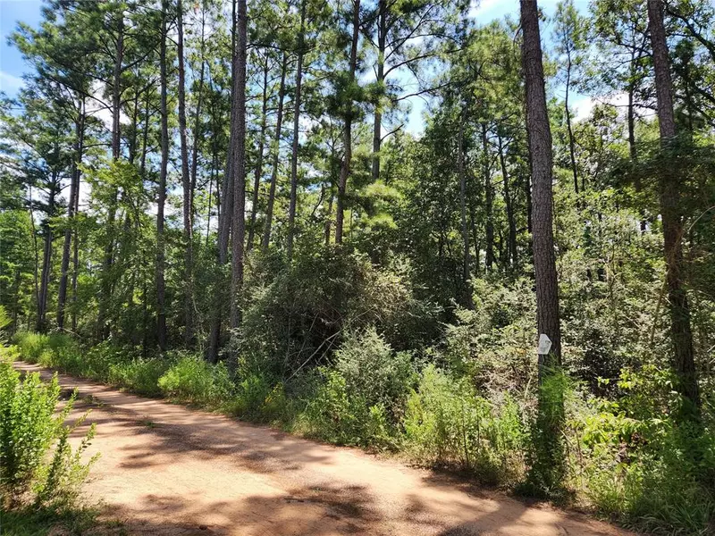 Lot 6 Smokethorn LN, Plantersville, TX 77363