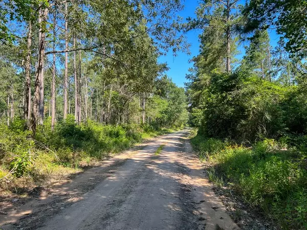 Lovelady, TX 75851,0000 CR 4090