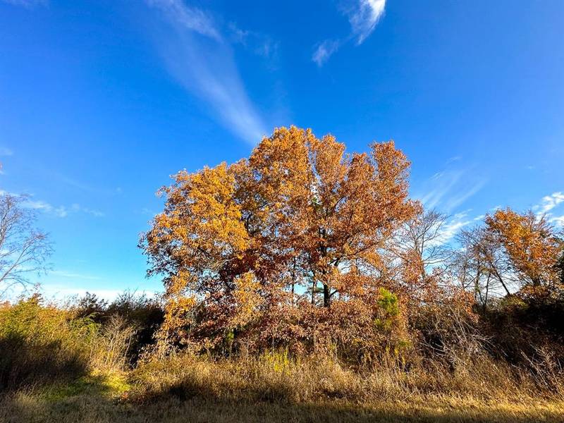 00000000 US 30, De Kalb, TX 75559