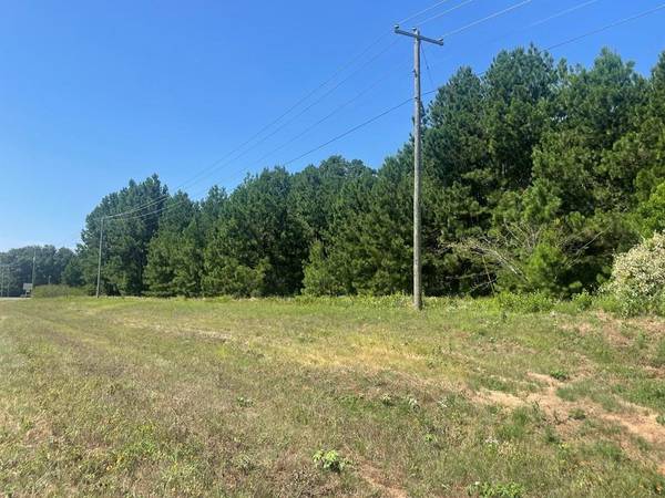 Grapeland, TX 75844,000 TBD ST HWY 287