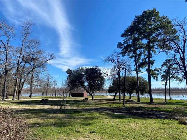 255 Cove View DR, Trinity, TX 75862