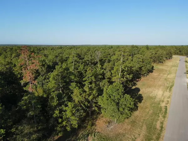 Huntsville, TX 77320,TBD Westview - 20 Acres