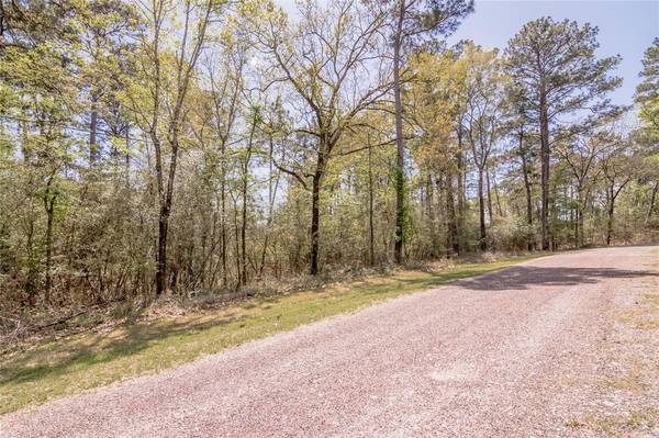 Lot 11 Shane Lane, Trinity, TX 75862