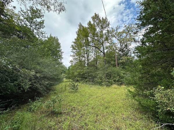 Centerville, TX 75833,20.5 ac CR 114