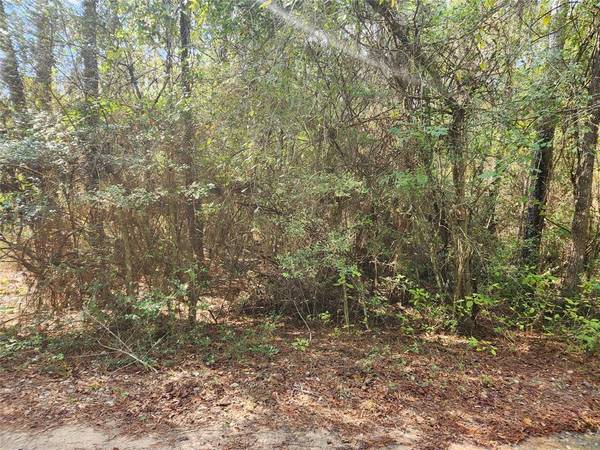 Lot 8 Hoptree LN, Plantersville, TX 77363