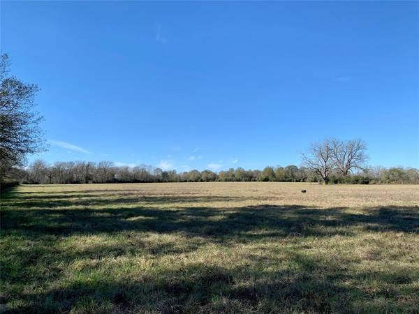 tbd L2 CR 420, Centerville, TX 75833