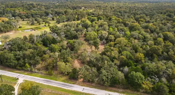 Snook, TX 77878,17187 County Road 433 - 14 Acres