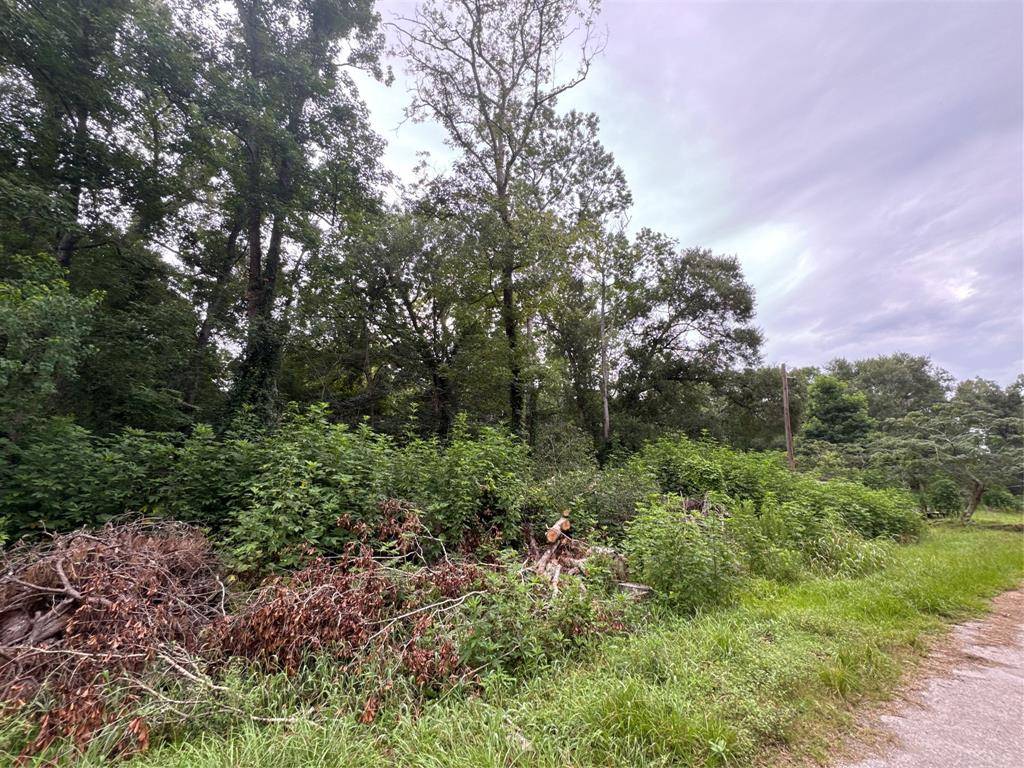 Dayton, TX 77535,131 County Road 4282