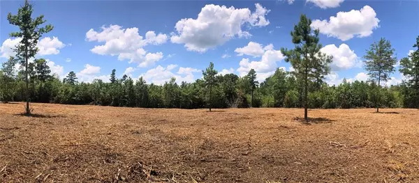 Nacogdoches, TX 75961,Lot 2 CR 338